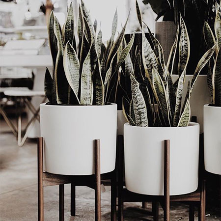 Espacios para relajarse por completo #roomselect  #naturalsmarthotels  #madrid